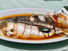 -蝶园·装修中(BFC外滩金融中心店)