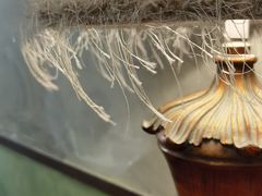 -六区宿舍咖啡店