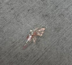 -芊冉•美甲美睫纹绣