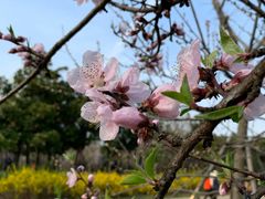 -蜀冈西峰生态公园