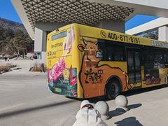 -帽儿山国家森林公园