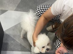 -久久宠物(河东万达店)