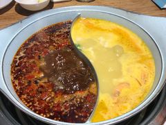 -青瓷火锅料理(西单大悦城店)