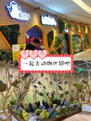 -七巧国萌宠乐园(龙湖天街店)