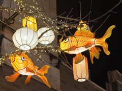 -龙湖星悦荟(颐和店)