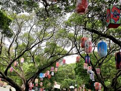 -江心屿景区