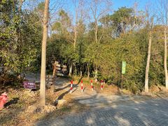 -上海海湾国家森林公园