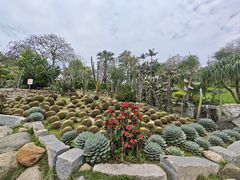-胡里山炮台