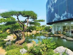 -罗红摄影艺术馆