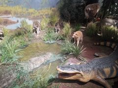 -陕西自然博物馆