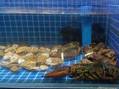 -四季厨房 鲁菜·孔府烤鸭(高新万达店)