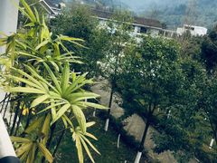 -雅安楠水阁温泉酒店