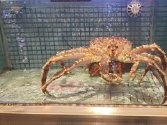 -东方御宴海鲜酒楼(棕泉酒店)