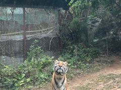 -深圳野生动物园