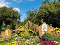 -上海共青森林公园