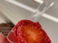 -酷巧·巧克力糖果店