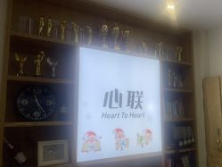 -心联形象设计·流星染