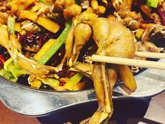 干锅牛蛙-馋嘴蛙火锅