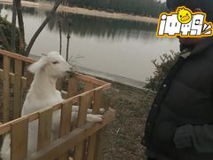 -东平国家森林公园