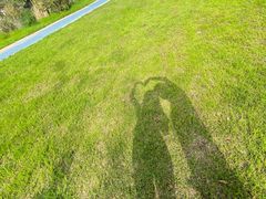 -宜兴龙背山森林公园