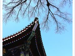-颐和园