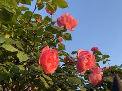 -山东大学(兴隆山校区)