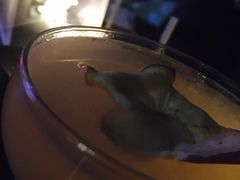 -TZ House音乐现场(茅台店)