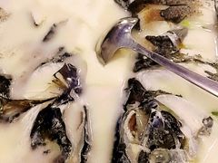 -全乐鱼馆·淳牌有机鱼直营店
