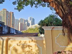 -龙环葡韵住宅式博物馆