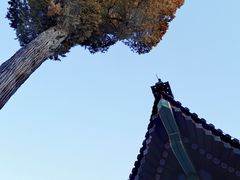 -恭王府博物馆