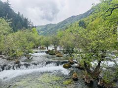 -九寨沟-树正沟