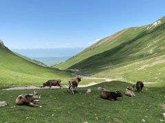 -新疆那拉提国家旅游度假区