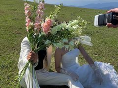 -大姆山草场