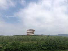 -光明小镇欢乐田园