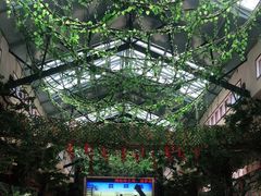 -呀诺达热带雨林
