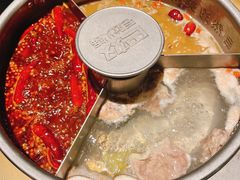 -巴奴毛肚火锅(九洲店)