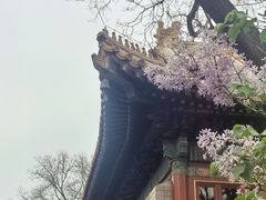 -广济寺