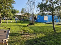 -爪吧宠物乐园 (温榆河示范区店)