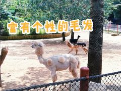 -大连森林动物园