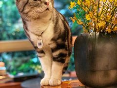 -咖法森林·咖啡  酒吧(天河店)