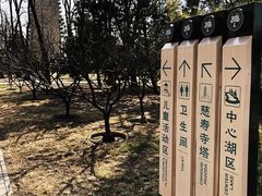 -玲珑塔公园