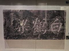 -白鹤梁水下博物馆