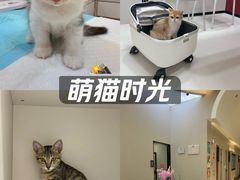 -御宝贝24h宠物医院·转诊中心·CT核磁血透中心(厦门总院)