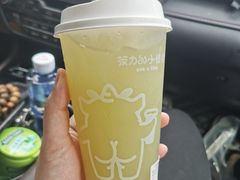 山泉油柑（绿屁屁）-茶力的小怪兽(梅林卓悦汇店)