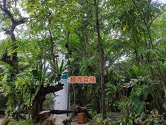 -绿光森林餐厅