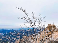 -崂山巨峰游览区