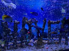 -太平洋海底世界