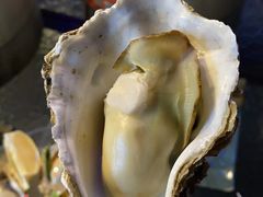 -千岛蚝高压锅生蚝·人参火锅(白云万达店)