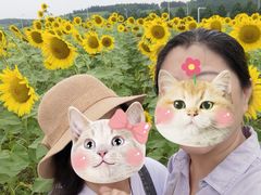 -莲花山花海