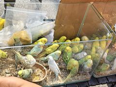 -丽达购物中心(崂山店)